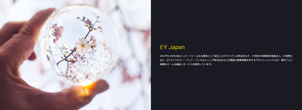 EYストラテジー・アンド・コンサルティングの会社概要と事業内容・特徴に関する図解