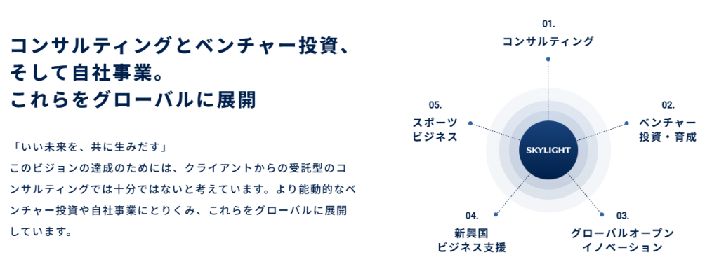スカイライトコンサルティングの5つの事業領域に関する図解