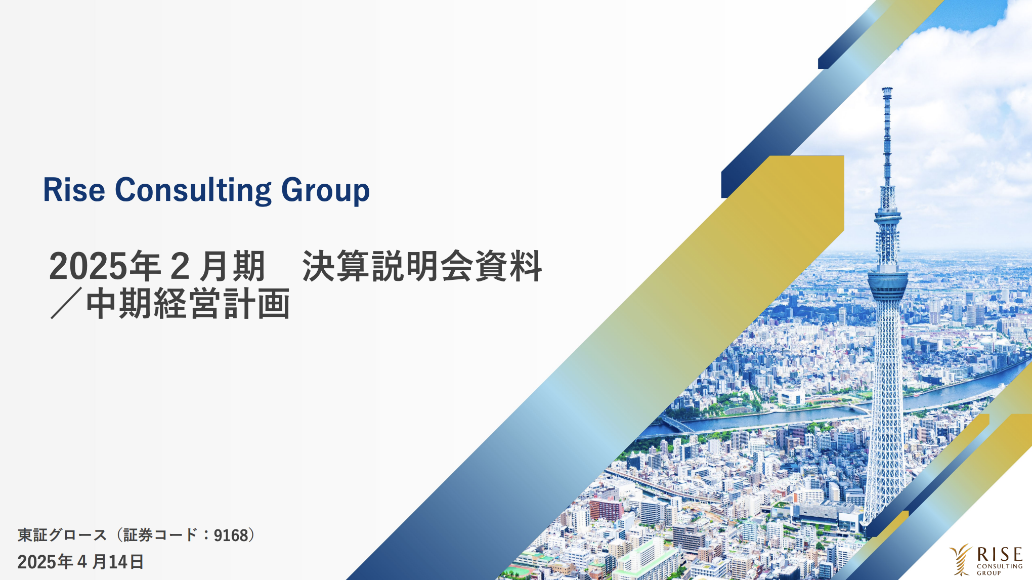 ライズコンサルティングの会社概要と事業内容に関する図解